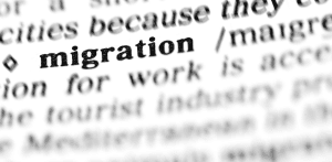 FEDUSA calls for lawful, humane and coordinated migration management following President Ramaphosa’s address